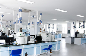 ����ᡤjinnian(�й���)�ٷ���վ